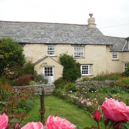 Crackington Haven Higher Tresmorn Farm Bed & Breakfast エクステリア 写真