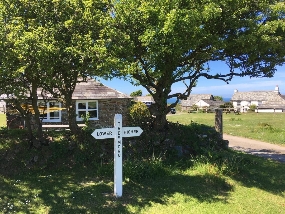Crackington Haven Higher Tresmorn Farm Bed & Breakfast エクステリア 写真