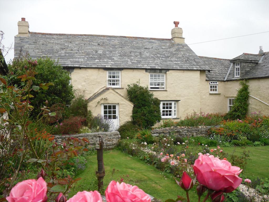 Crackington Haven Higher Tresmorn Farm Bed & Breakfast エクステリア 写真