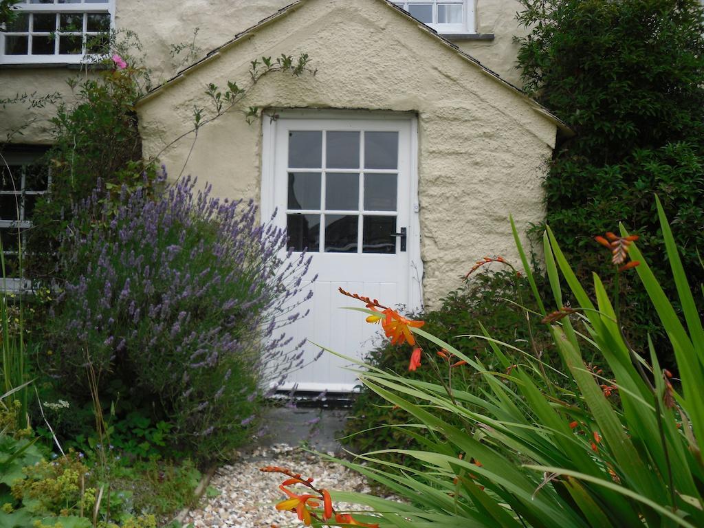 Crackington Haven Higher Tresmorn Farm Bed & Breakfast エクステリア 写真