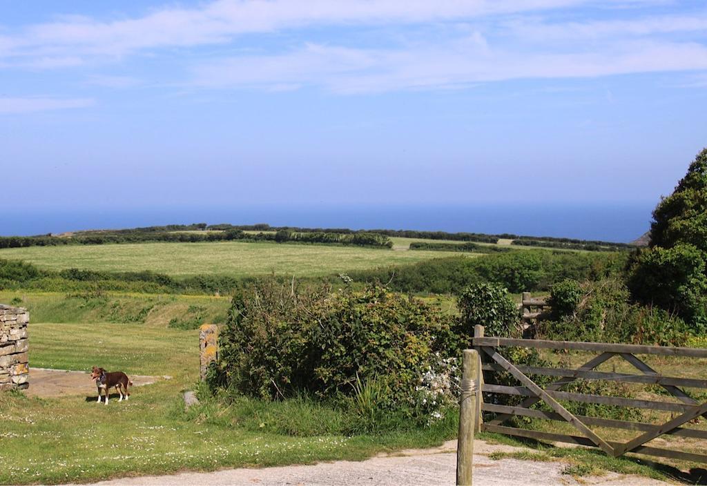 Crackington Haven Higher Tresmorn Farm Bed & Breakfast エクステリア 写真