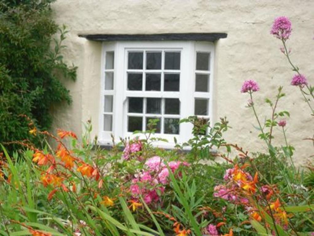 Crackington Haven Higher Tresmorn Farm Bed & Breakfast エクステリア 写真